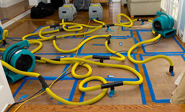 Professional Water Damage Restoration technician working in Harvard, MA